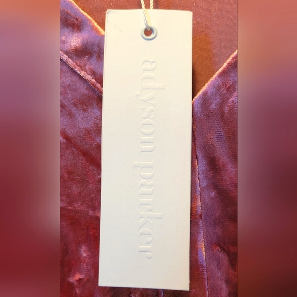 ❤️❤️ Addison Parker Blush Velvet Dress-Nordstrom - Picture 4 of 9